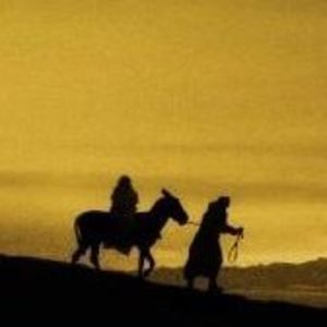 Meet your Posher, Robin palmer-burton